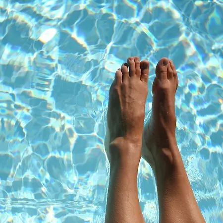 Szálloda Wiedemann's Weinhotel Sankt Martin