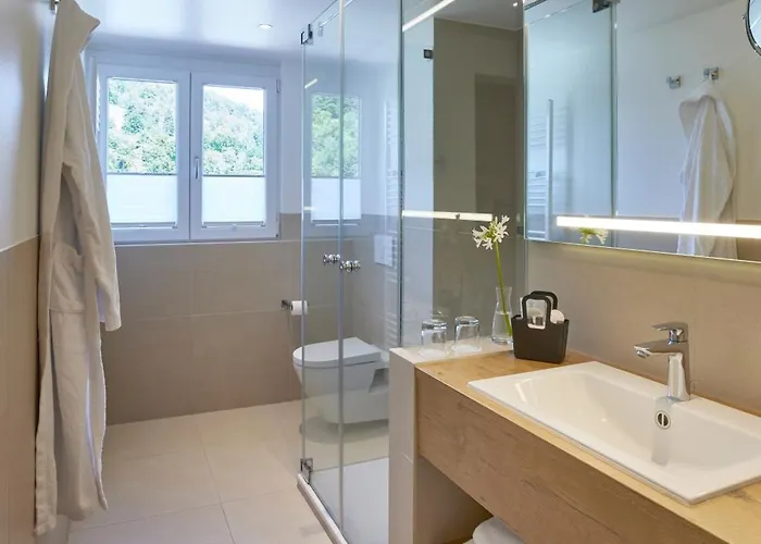 Wiedemann's Weinhotel